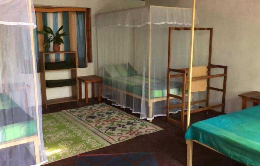 Teach English at EARTH RESTORATION CAMP
