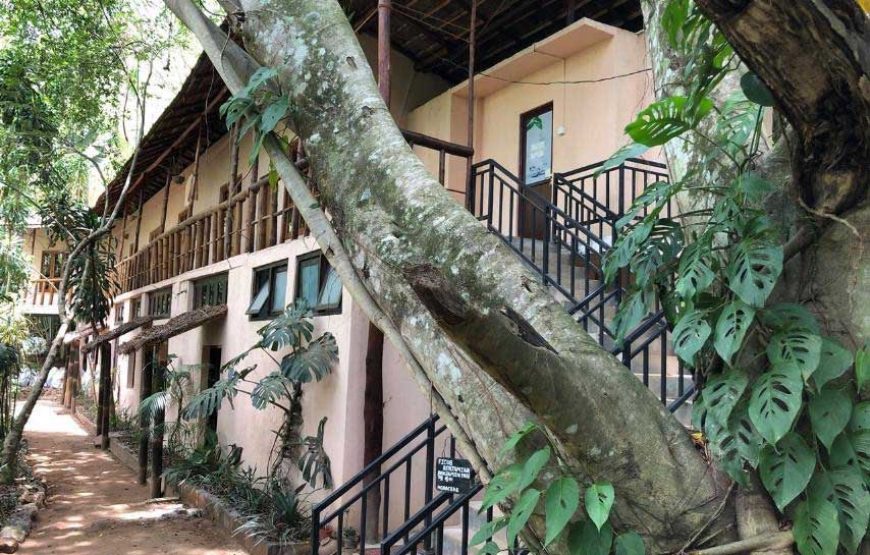 Teach English at EARTH RESTORATION CAMP