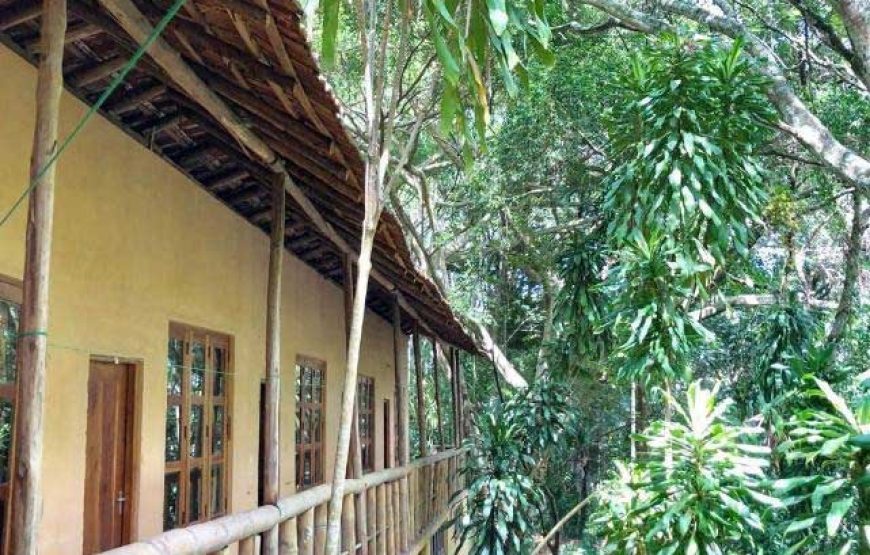 Teach English at EARTH RESTORATION CAMP
