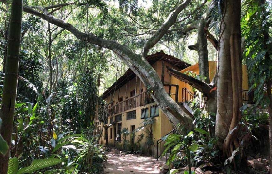 Teach English at EARTH RESTORATION CAMP