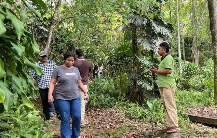 Teach English at EARTH RESTORATION CAMP