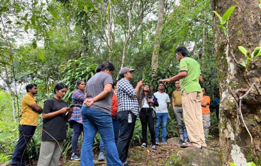 Teach English at EARTH RESTORATION CAMP