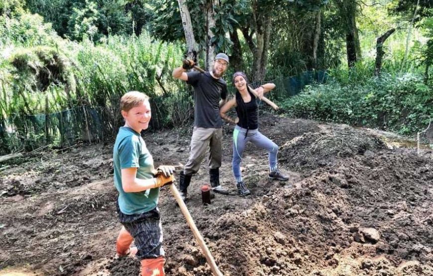 Teach English at EARTH RESTORATION CAMP