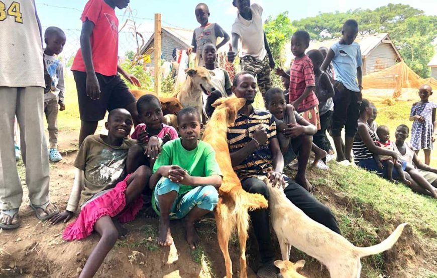Rusinga Dog Rescue Animal Shelter