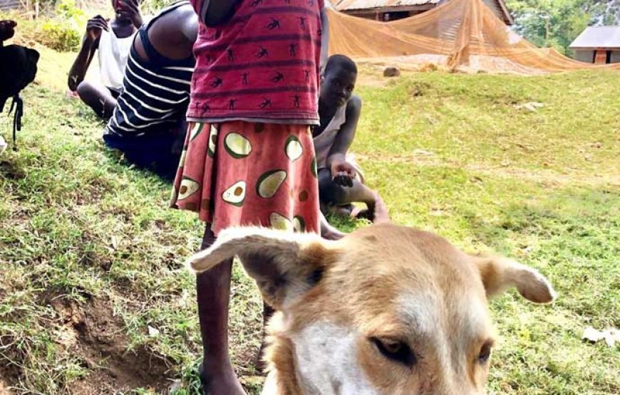 Rusinga Dog Rescue Animal Shelter
