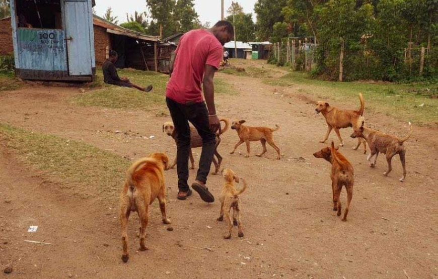 Rusinga Dog Rescue Animal Shelter