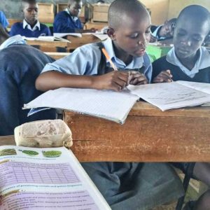 Be a teacher at Wamwanga Primary School in Rusinga Island, Kenya!