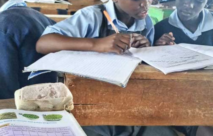 Be a teacher at Wamwanga Primary School in Rusinga Island, Kenya!
