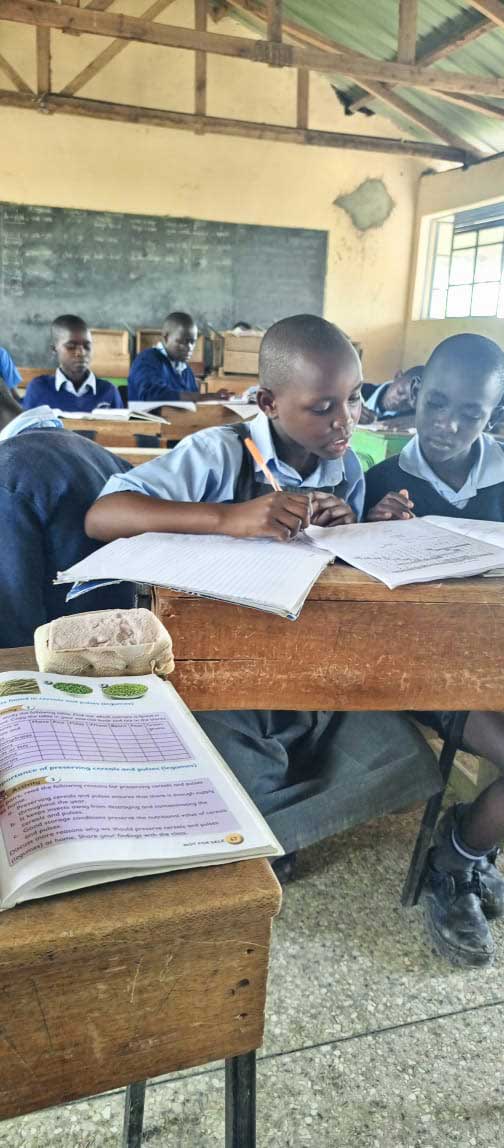 Be a teacher at Wamwanga Primary School in Rusinga Island, Kenya!