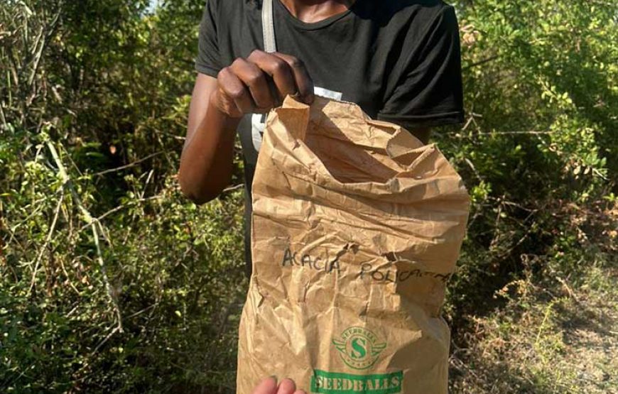 RUSINGA Green Growth Youth Initiative