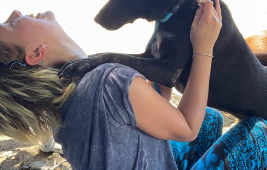 Rescue P.A.W.S. Teaching Volunteer Program