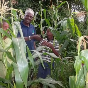 Volunteer in Ugandan Sustainable Agriculture