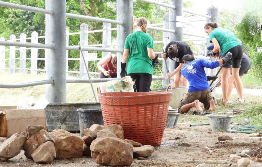 Wildlife Rescue Center Volunteering Program – Thailand