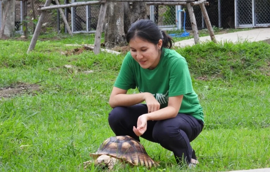 Wildlife Rescue Center Volunteering Program – Thailand