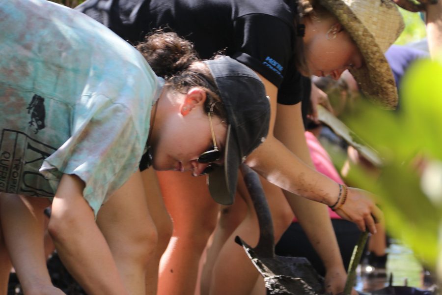 Marine Conservation Volunteer Program