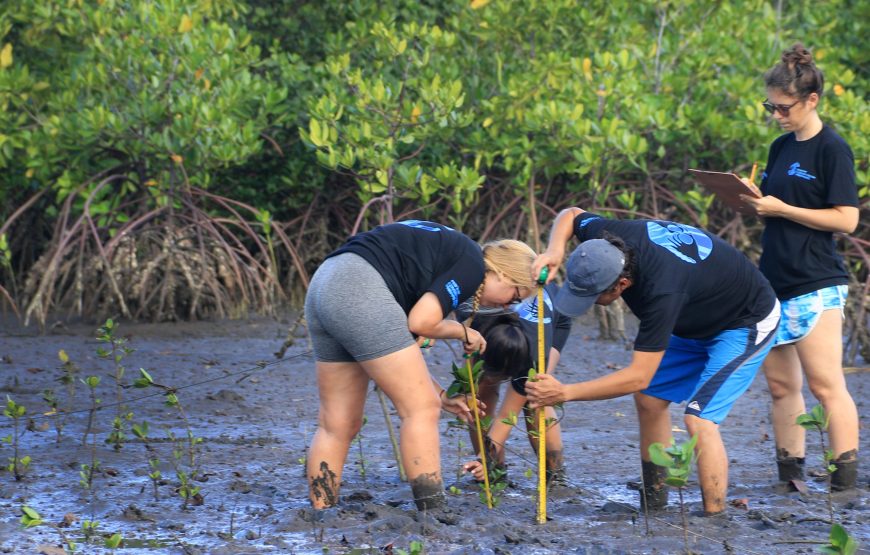 Marine Conservation Volunteer Program