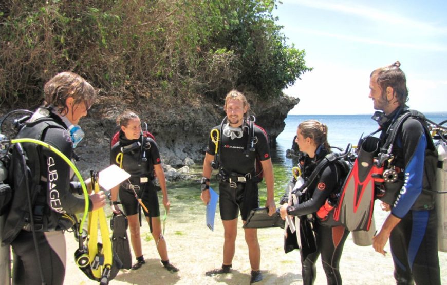 Marine Conservation Volunteer Program